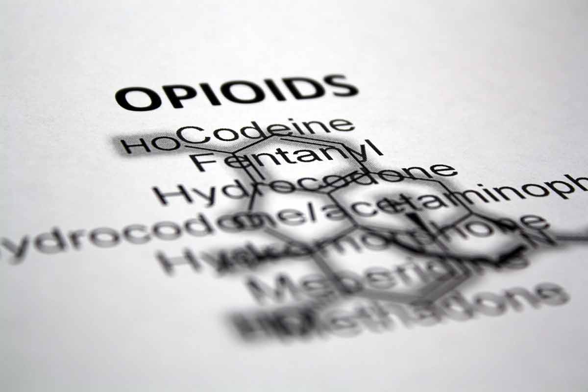 PUBLIC SAFETY-opioids