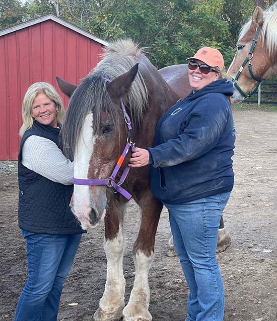 Connecticut Draft Horse Rescue Rep. Haines toured Connecticut Draft Horse Rescue in East Hampton